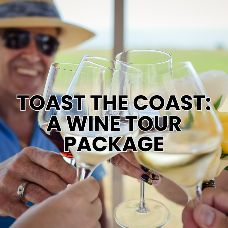 NORTH SHORE WINE TOUR PACKAGE:  Toast The Coast