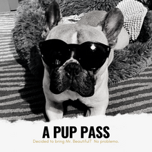 Load image into Gallery viewer, STAY ADD-ON:  PUP PASS
