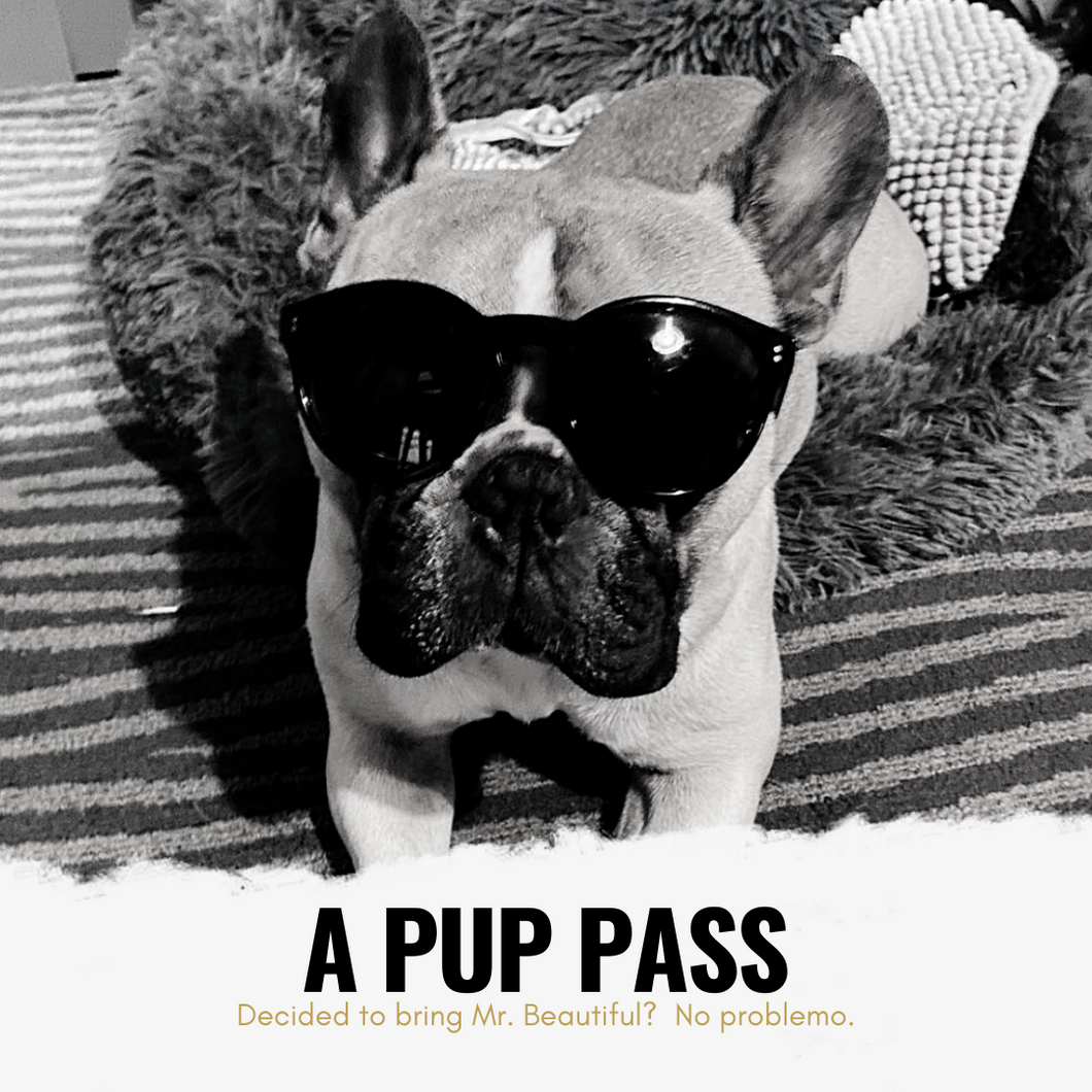 STAY ADD-ON:  PUP PASS